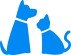 Policy Terms Icon